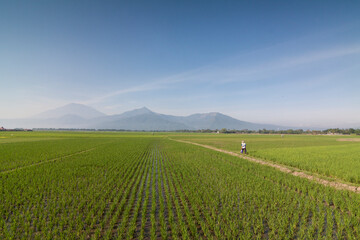 Field and sky with clouds