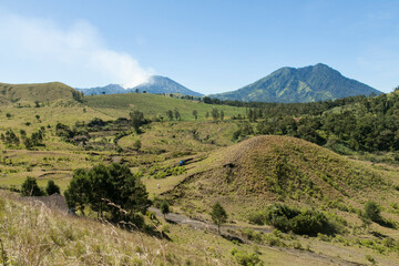 Fototapeta premium Savannah of Kawah Wurung