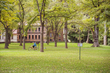 Naklejka premium 穏やかな北海道大学