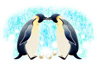 Illustration_02/01/2007 : 皇帝ペンギン