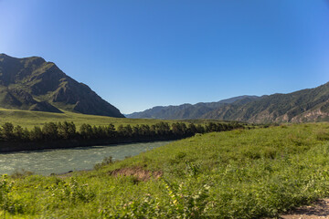 Mountains of the Altai territory and the Katun river