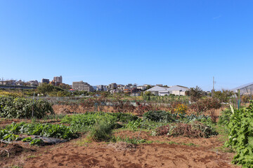緑区の田園風景（神奈川県横浜市緑区）