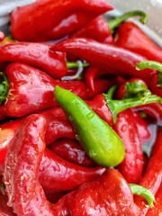red hot chili peppers