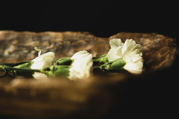 White flowers and wood