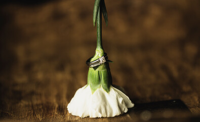 Flower and Diamond ring