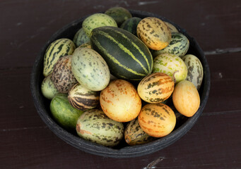 Organic Fresh Healthy Vegetable Yellow Cucumbers or Yellow Pumpkin on Wooden Background