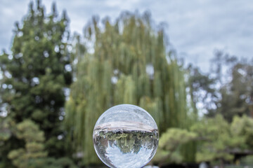 San Jose Park on Overcast Day