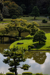 japanese garden