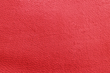 Fototapeta premium The texture of perforated leather. An empty colored surface. Blank for a design or template for a website. Abstract red background
