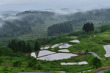 棚田の風景