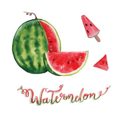 Watermelon hand drawing watercolor, red fresh watermelon Citrullus lanatus on white background