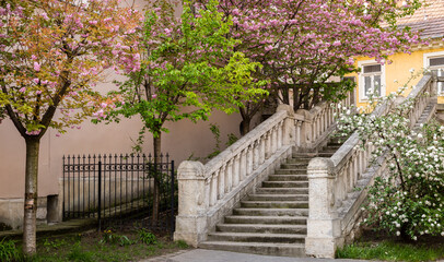 Fototapeta premium Budapest