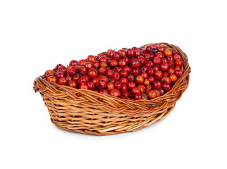 Indian Fruit Red Berry Also Know as Bor, Bora or Bore Isolated on White Background