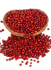 Indian Fruit Red Berry Also Know as Bor, Bora or Bore Isolated on White Background