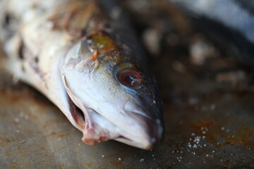 fresh fish and seafood grilled on a street cafe close-up
