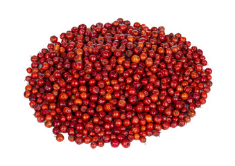 Indian Fruit Red Berry Also Know as Bor, Bora or Bore Isolated on White Background