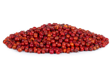 Indian Fruit Red Berry Also Know as Bor, Bora or Bore Isolated on White Background