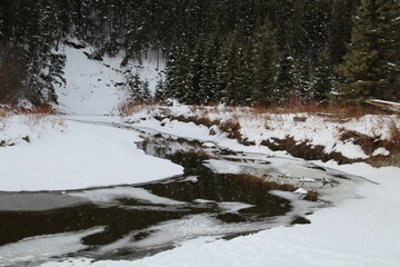 Fototapeta na wymiar Winter On The Creek, Whitemud Park, Edmonton, Alberta
