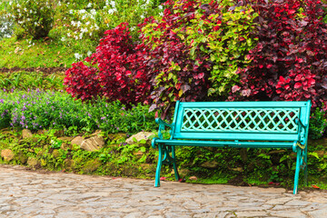 Bench in the garden.