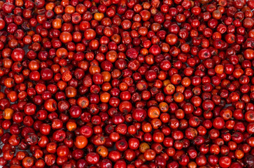 Indian Fruit Red Berry Also Know as Bor, Bora or Bore