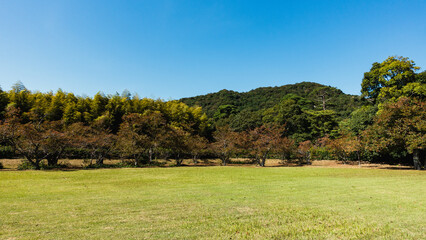 Fototapeta premium 自然の風景