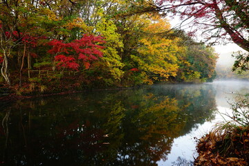 水面に反射する震生湖畔の紅葉