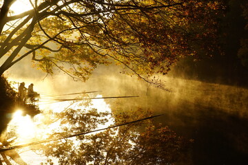 朝日が反射する早朝の震生湖