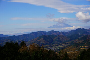 秦野菜の花台の展望台から見た富士山