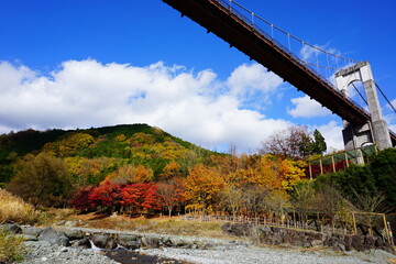 秦野戸川公園の吊り橋と色づいた丹沢の山