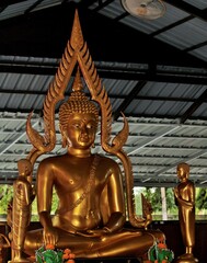 golden buddha statue