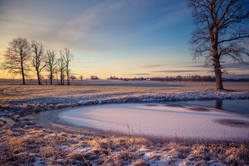 A beautiful frozen pond in the rural scene during the morning golden hour. A winter scenery of Northern Europe. Early winter lanscape with trees and ice in the pond.