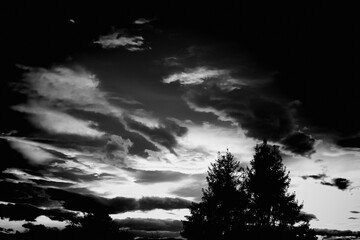 Schwarz weiß Foto von Sonnenuntergang mit Bäumen