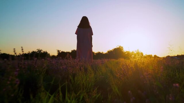back view woman in maxi dress walking on the meadow slow motion beautiful summer landscape sky with sun rays at sunset