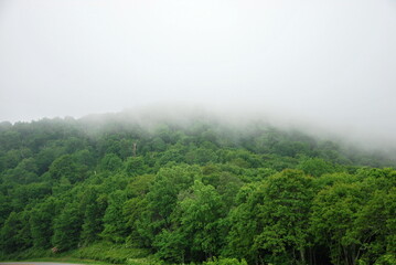 Landschaft am Blue Ridge Parkway, North Carolina © Ulf