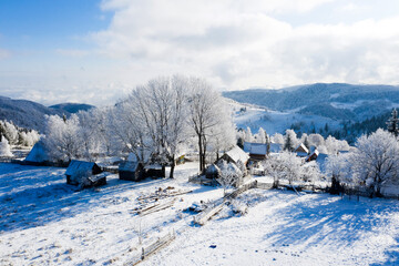 Magic winter landscape with frozen trees. Christmas, New Year concept.