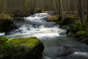 Rapid stream in the forest