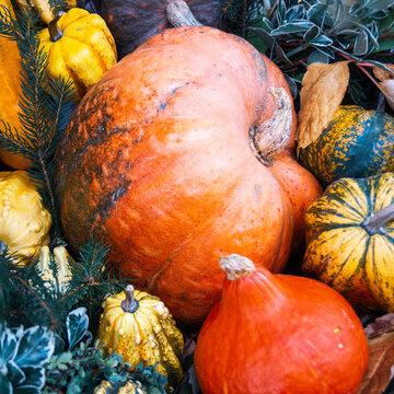 365 Best Valle Vigezzo Images Stock Photos Vectors Adobe Stock