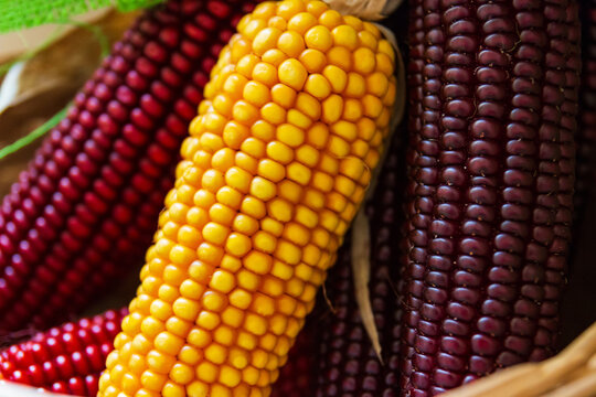 365 Best Valle Vigezzo Images Stock Photos Vectors Adobe Stock