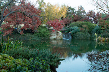 Water fall at a fish pond in the Japanese Friendship Garden in Fresno Ca