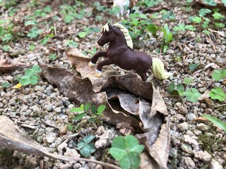 miniature horse jump over the tree fence