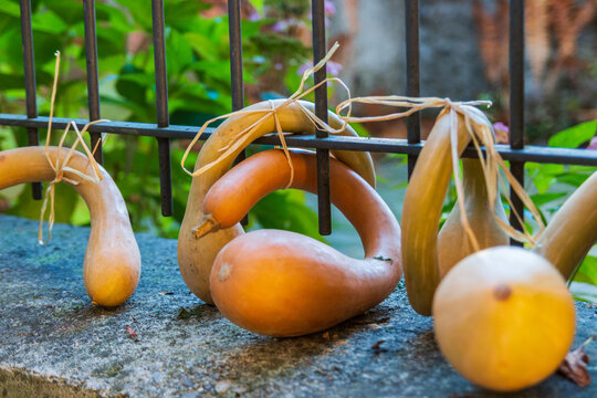 365 Best Valle Vigezzo Images Stock Photos Vectors Adobe Stock