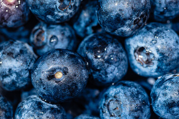 Makro reife frische Blaubeeren 