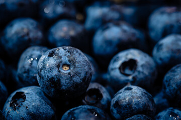 Makro reife frische Blaubeeren 