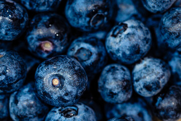 Makro reife frische Blaubeeren 