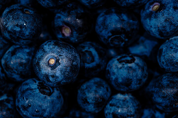 Makro reife frische Blaubeeren 
