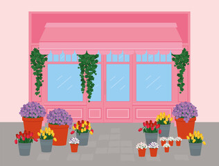 Fototapeta na wymiar The Paris store. Flower shop, pink facade, large Windows. Potted and freshly cut flowers. Tulips in decorative buckets, ivy, chrysanthemums. The European showcase of the store.