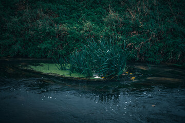 Close-up of the flowing stream.