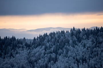 Trees covered with hoarfrost and snow in winter mountains - Christmas background