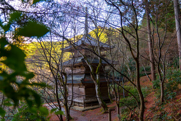 寺　塔　三重塔　森　