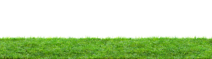 green grass field isolated on white background